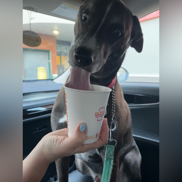 Meet your Posher, Christina - Picture 16 of 16